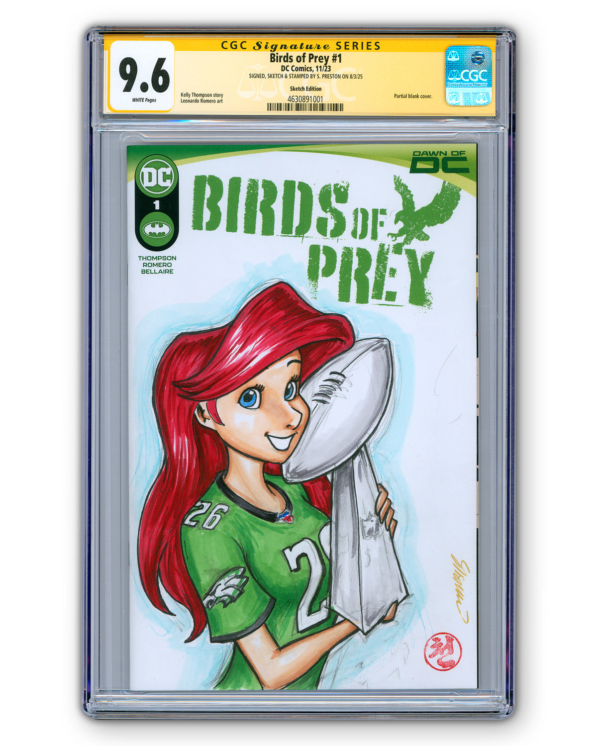 ORIGINAL ART - Eagles Ariel Sketch CGC 9.6 Birds of Prey #1 Comic Book