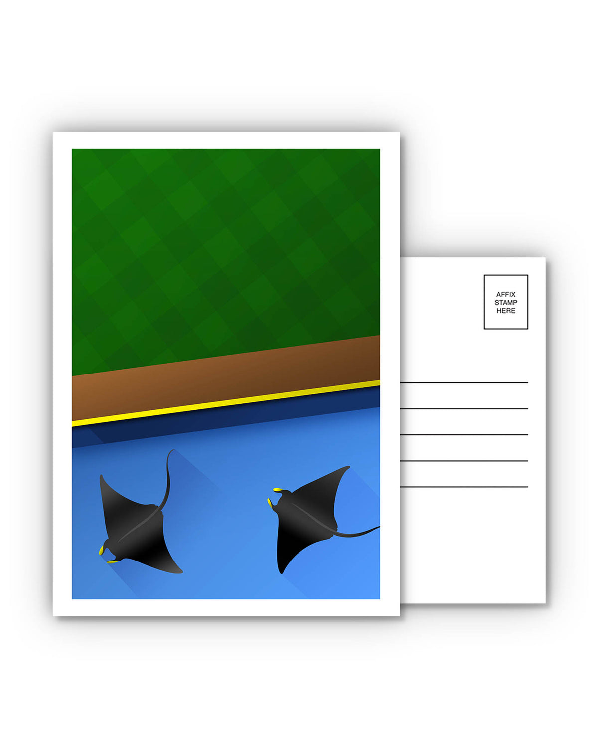 Minimalist Tropicana Field Postcard