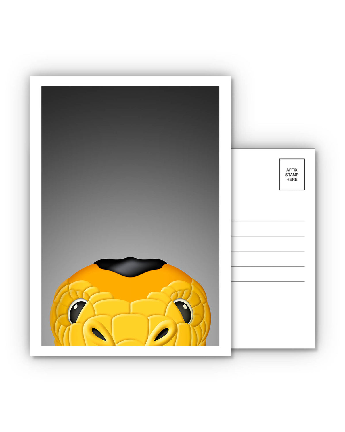 Postcards - Minimalist Mascots POS