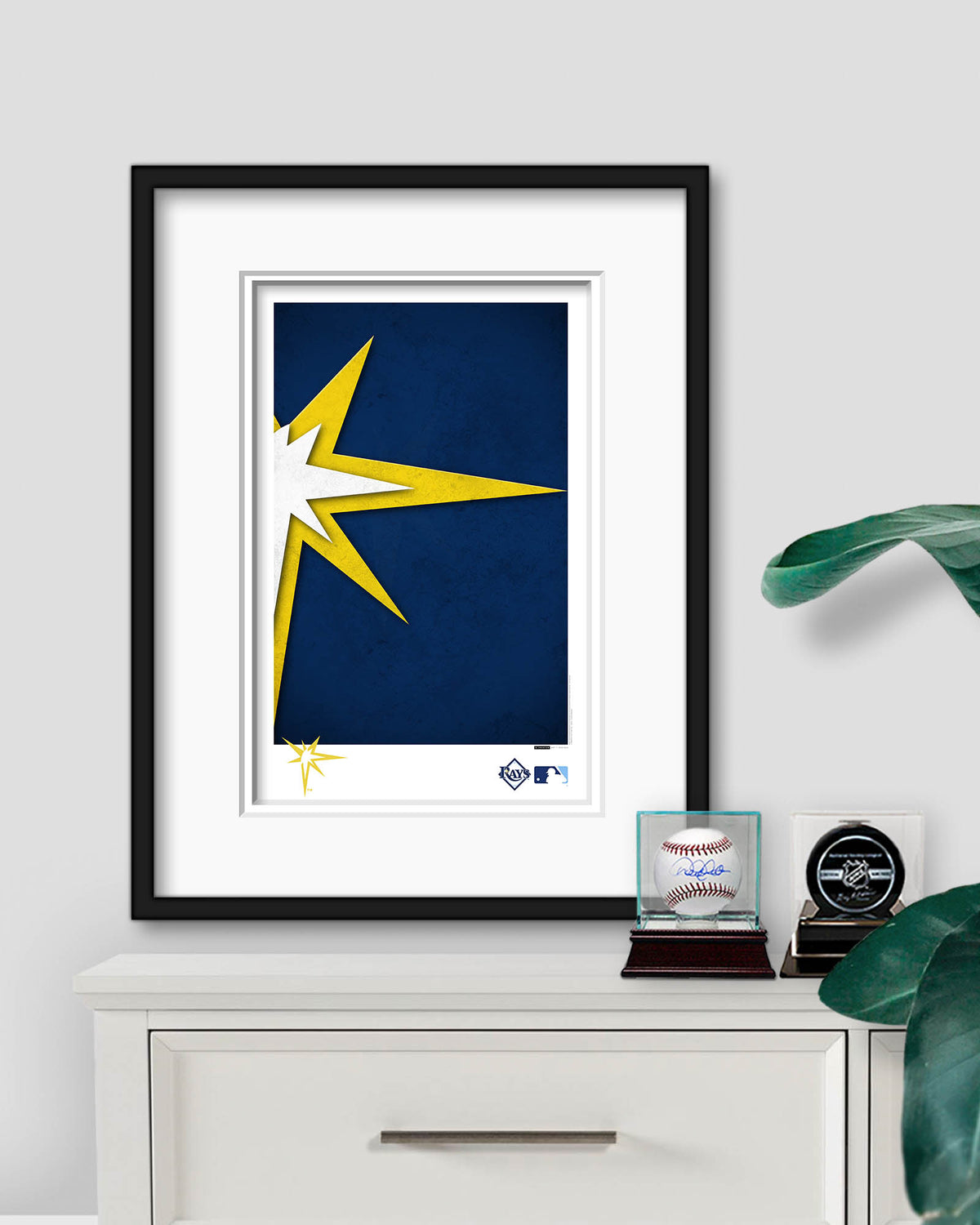 Minimalist Logo - Tampa Bay Rays