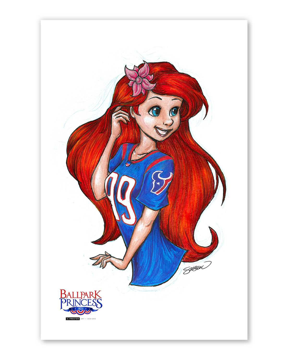 HOU Texans Ariel Fine Art Print
