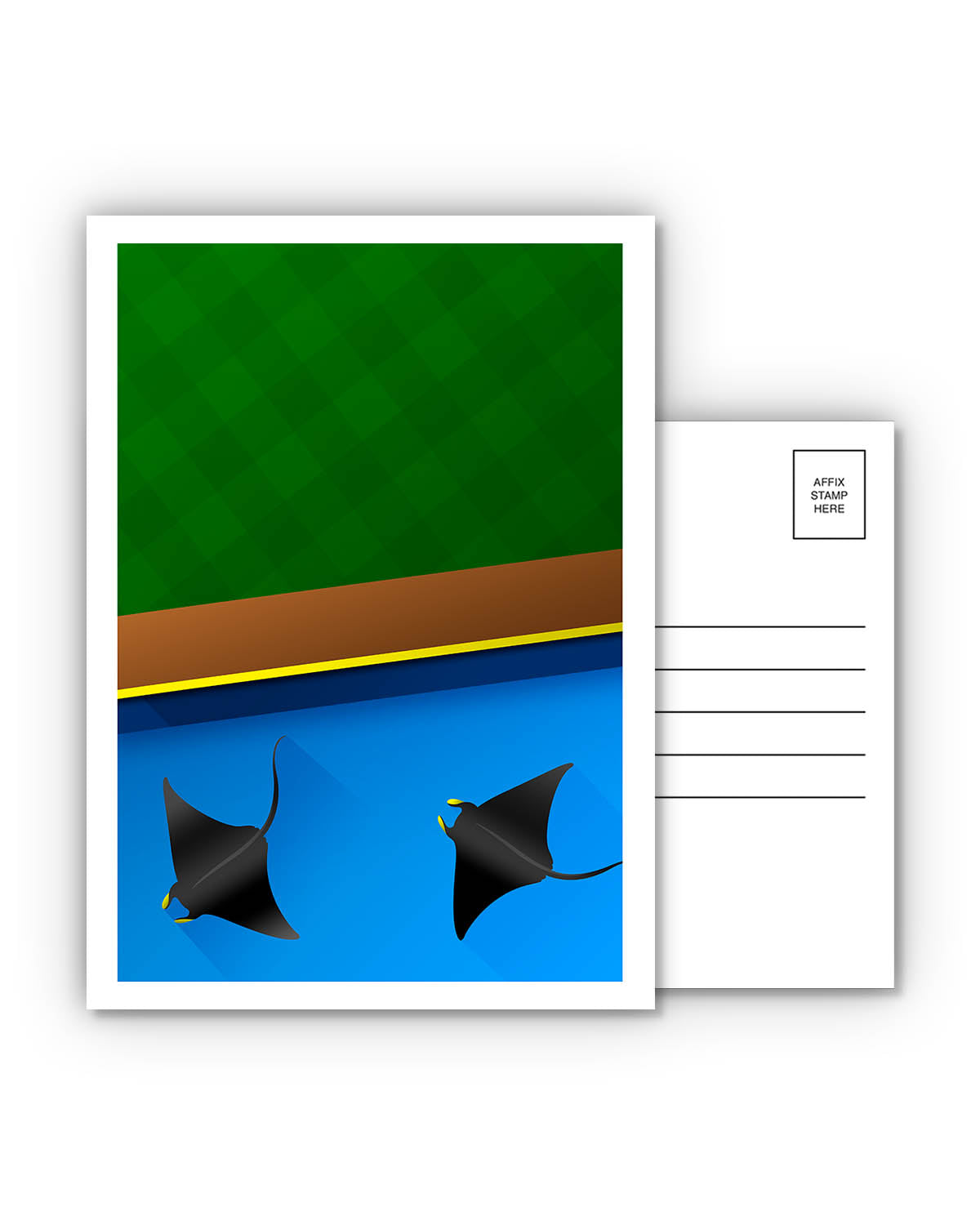 Minimalist Tropicana Field Postcard