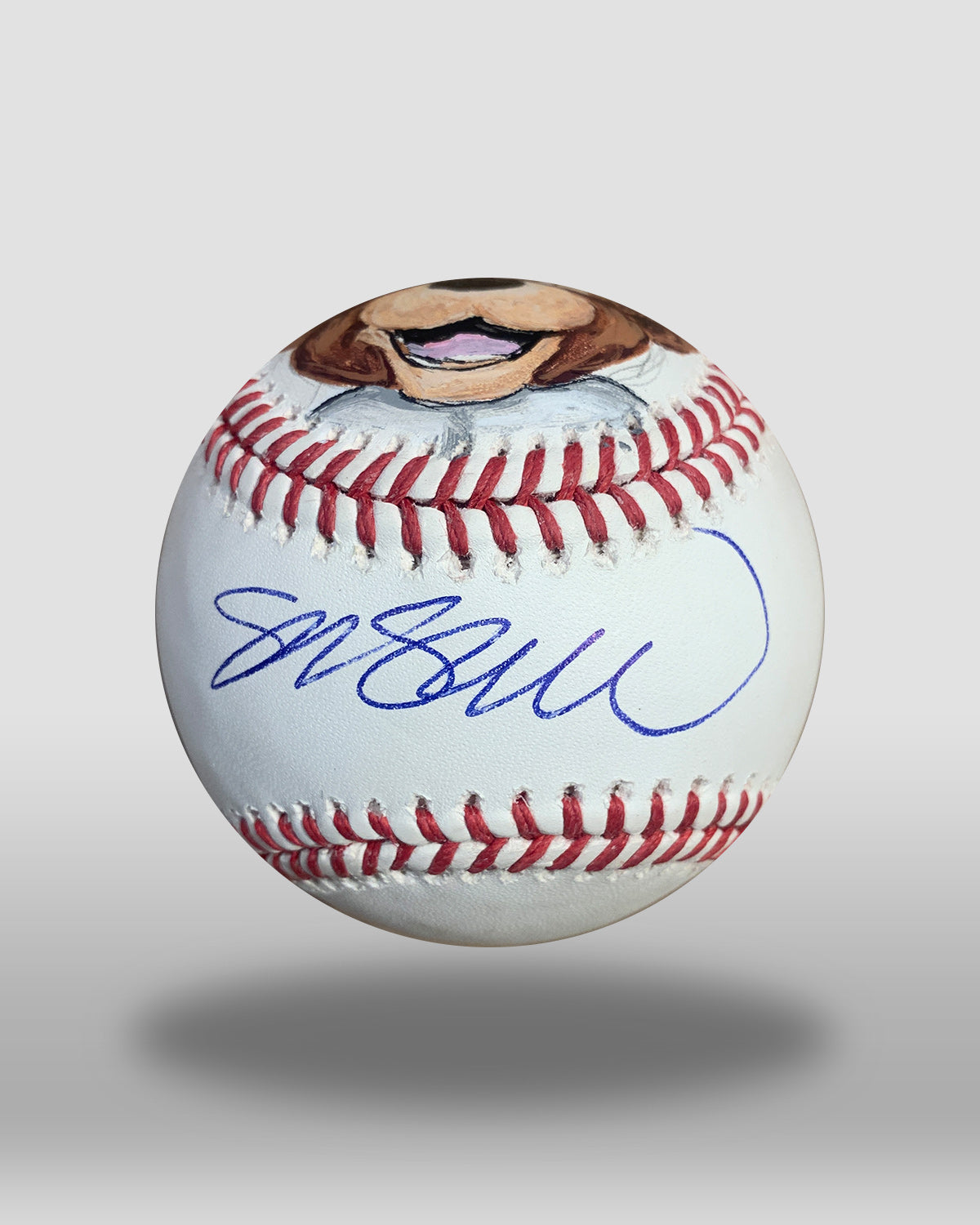 Clark The Cub Hand-Drawn Baseball Art